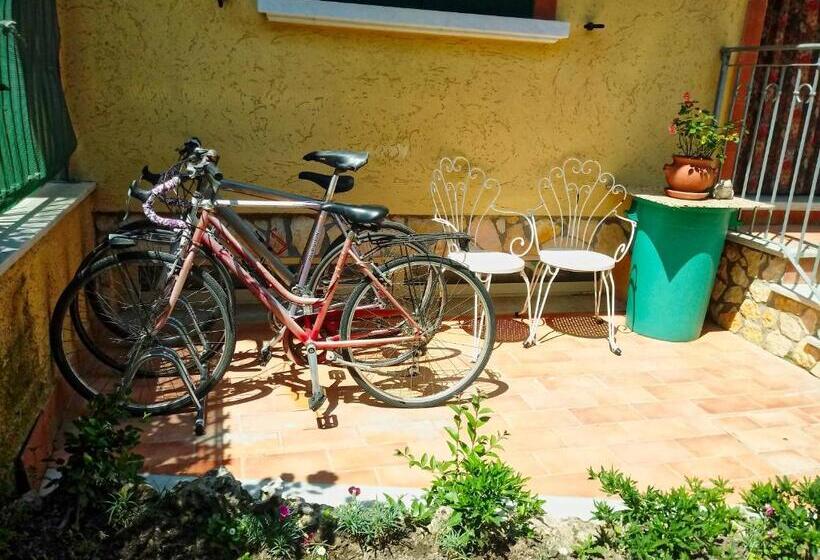 اتاق استاندارد سه نفره, Sally S B&b