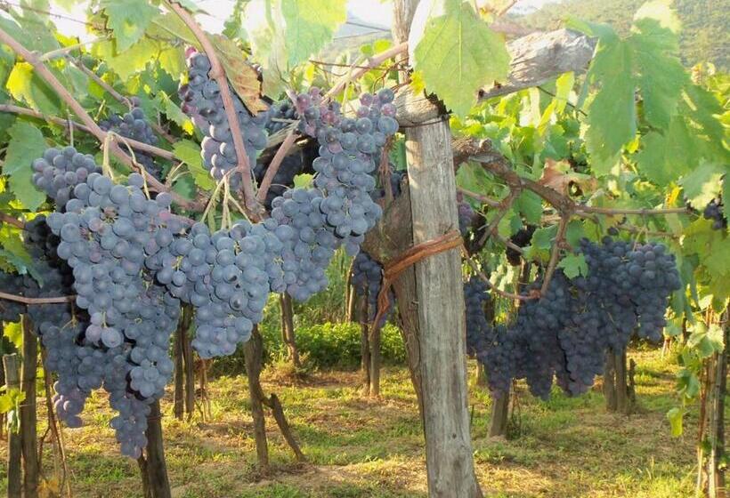 Апартаменты 1 Спальня с Террасой, Agriturismo A Veggia Vigna