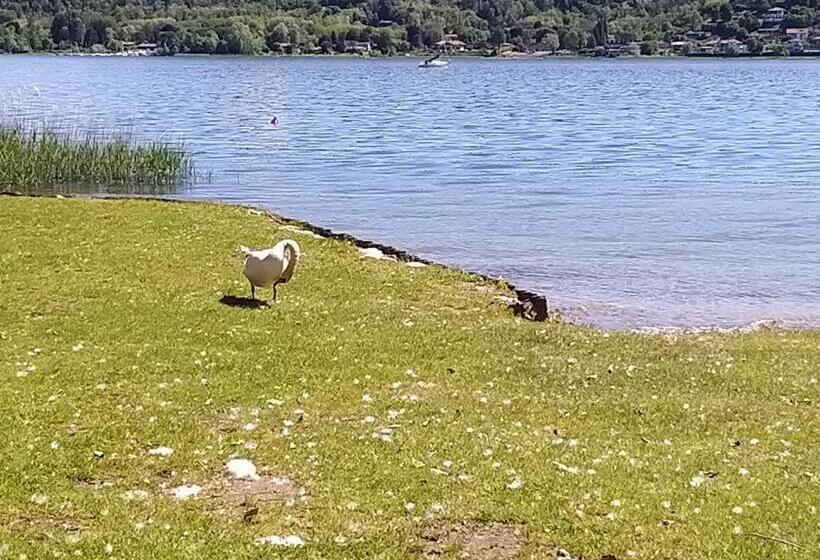 Семейный Номер, Ritratto Sul Lago