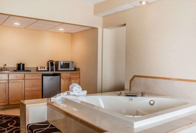 장애인을 위한 스위트, Quality Hotel & Suites At The Falls