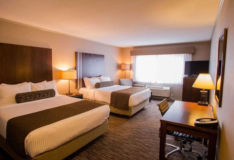 スタンダードルーム, Best Western Mountainview Inn