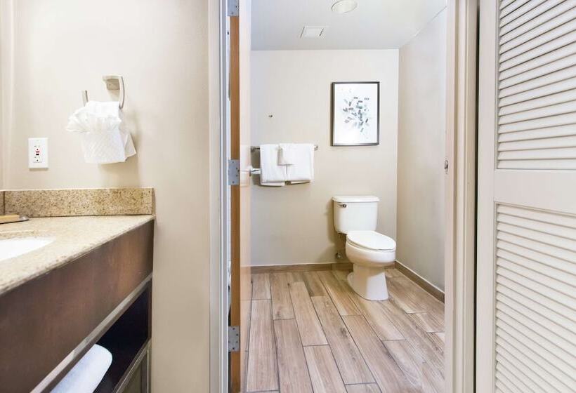 ダブルベッドスタンダードルーム, Doubletree Resort By Hilton Grand Key   Key West