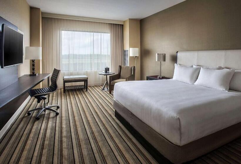 Номер Стандарт Кровать Кинг Адаптированный для Инвалидов, Hyatt Regency Pittsburgh International Airport