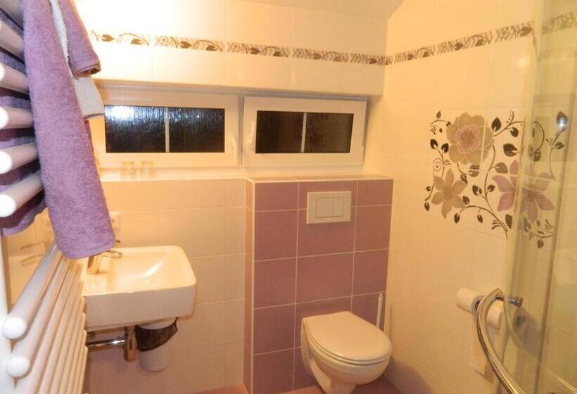 اتاق استاندارد, Vila Patricie