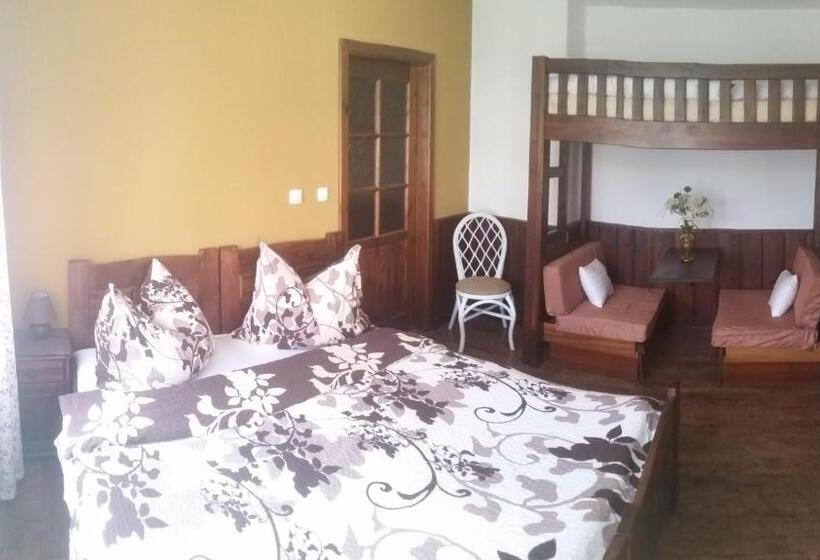 اتاق استاندارد, Vila Patricie