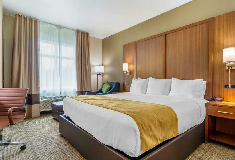 Стандартный Номер Кровать Кинг, Comfort Inn & Suites Lakewood By Jblm