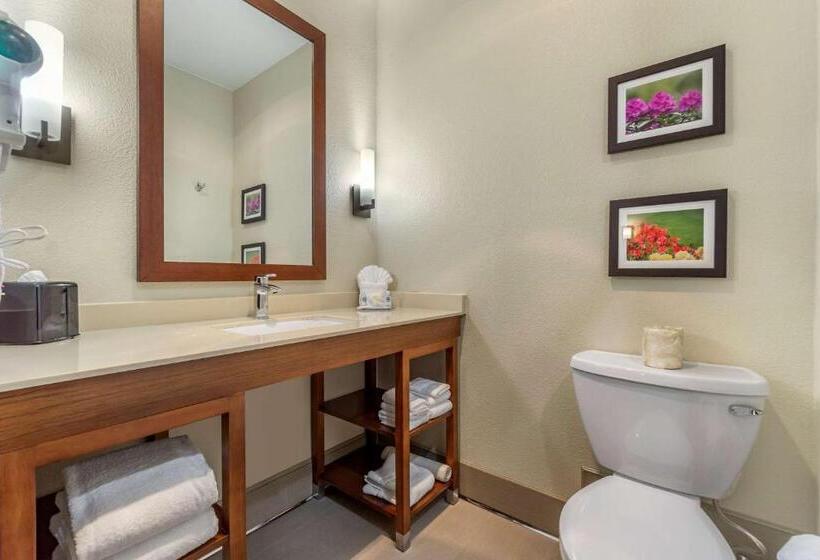 Номер Стандарт Адаптированный для Инвалидов, Comfort Inn & Suites Lakewood By Jblm