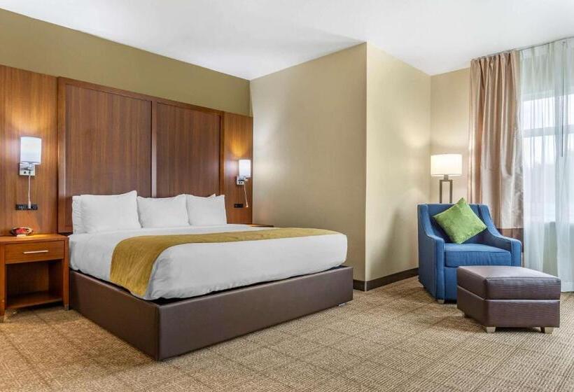 Номер Стандарт Кровать Кинг Адаптированный для Инвалидов, Comfort Inn & Suites Lakewood By Jblm