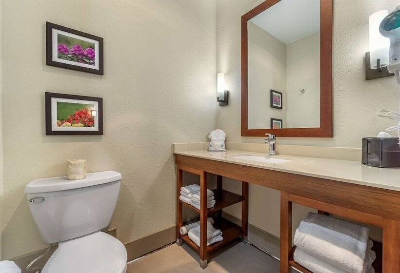 Номер Стандарт 2 Двуспальные Кровати, Comfort Inn & Suites Lakewood By Jblm