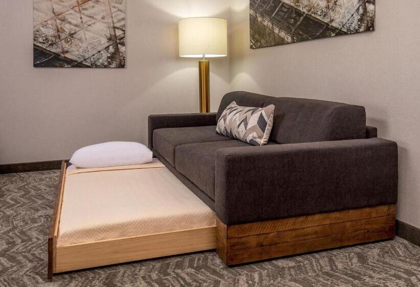 Студио Базик, Springhill Suites By Marriott Norfolk Virginia Beach