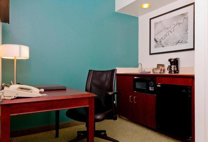 Estúdio standard Cama King, Springhill Suites Sarasota Bradenton