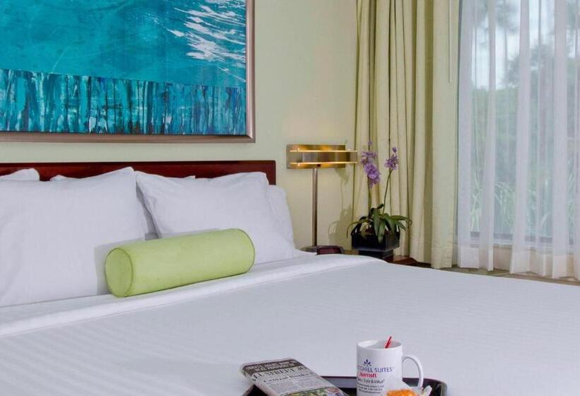 Студио Стандарт Кровать Кинг, Springhill Suites Sarasota Bradenton
