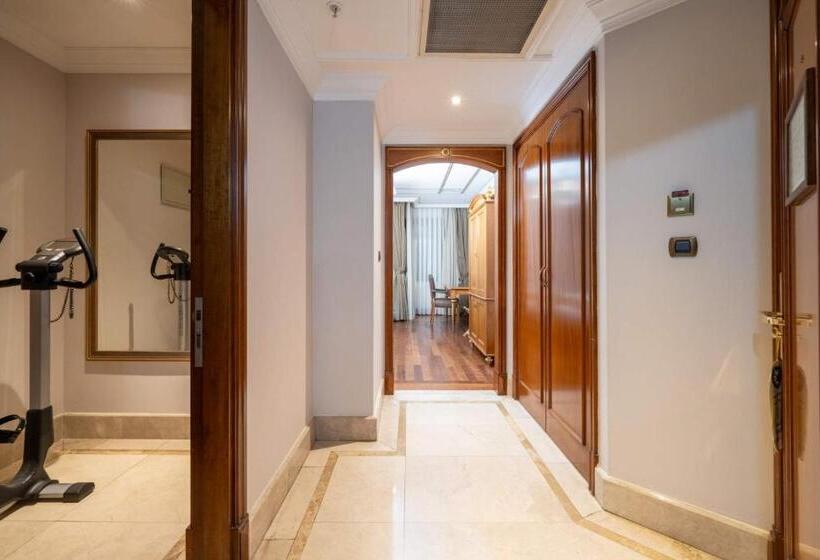 1ベッドルームアパートメントをつなぐ, The Central Palace Taksim