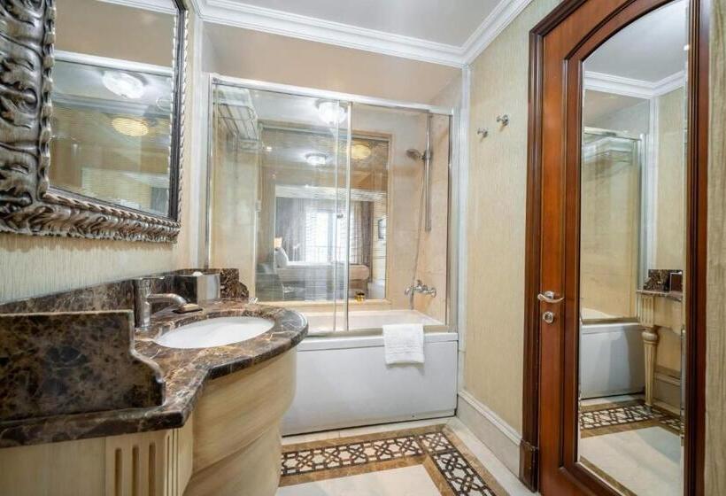 身障者適用スタンダードルーム, The Central Palace Taksim
