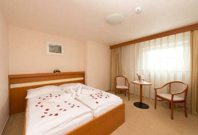 Habitación Triple Estándar, Svratka
