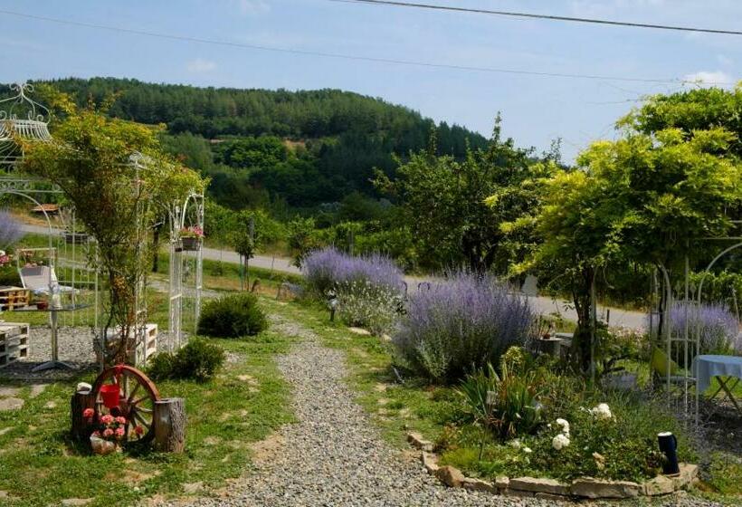 Номер Стандарт, Tre Colline In Langa