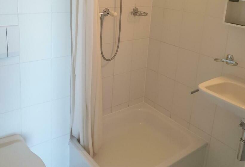 Номер Стандарт Вид на Озеро, Le Rivage