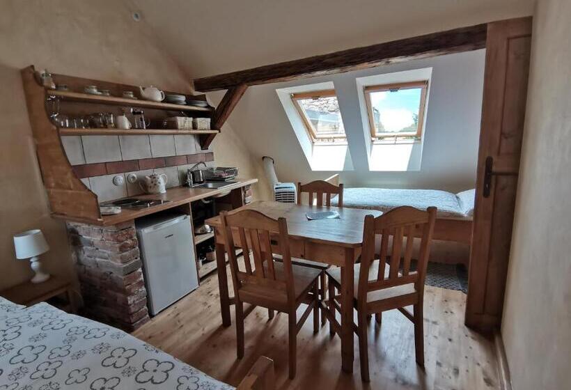 Студия Стандарт, Apartmány U Koudelníka