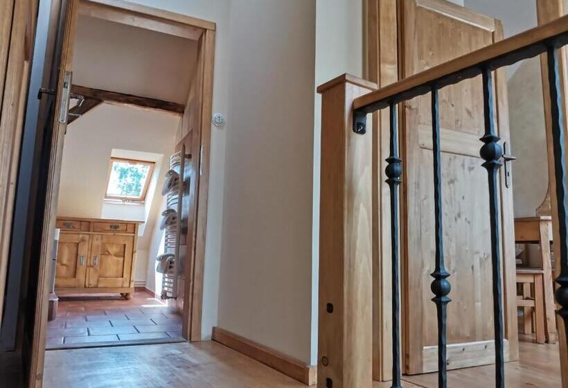 Студия Стандарт, Apartmány U Koudelníka