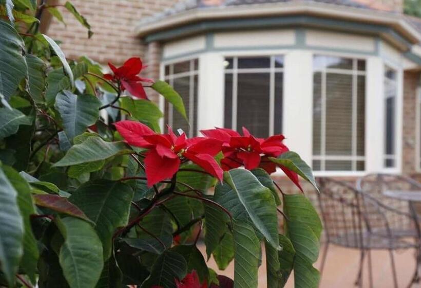 Номер Стандарт Совместная Ванная, Kiama Guesthouse