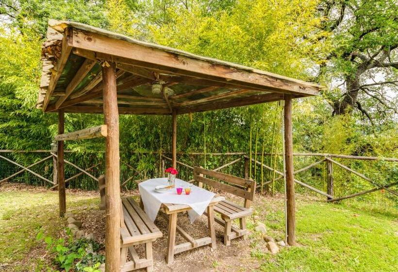 Апартаменты 1 Спальня, Podere Casanova