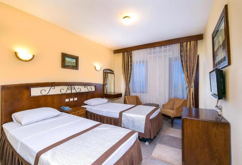 غرفة كلاسيكية فردية, Club Phellos
