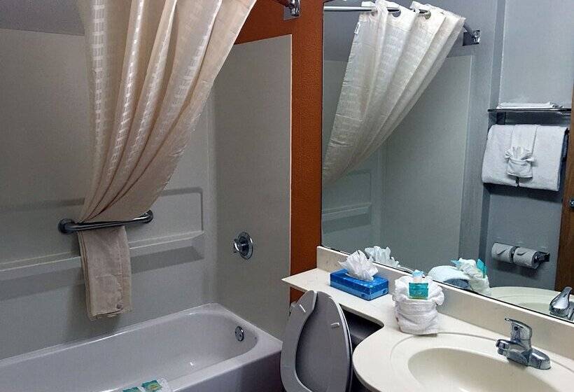 Люкс, Hometown Inn & Suites Jacksonville Butler Blvd./southpoint