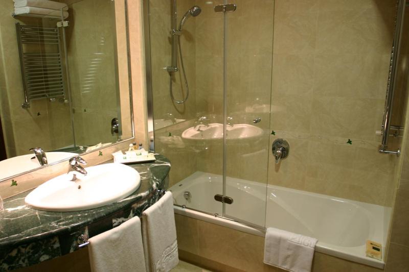 스탠다드 룸, Sercotel Guadiana