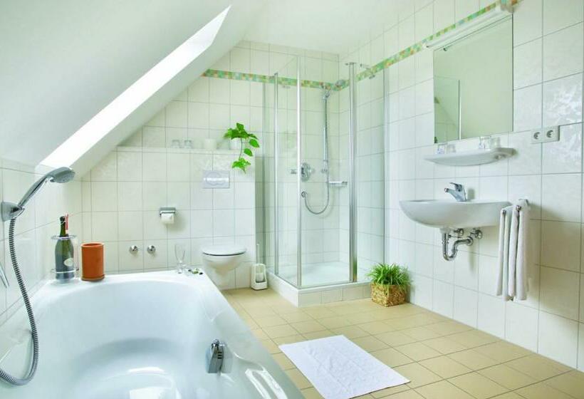 Номер Стандарт Индивидуальный, Landgasthof & Landhotel Wild