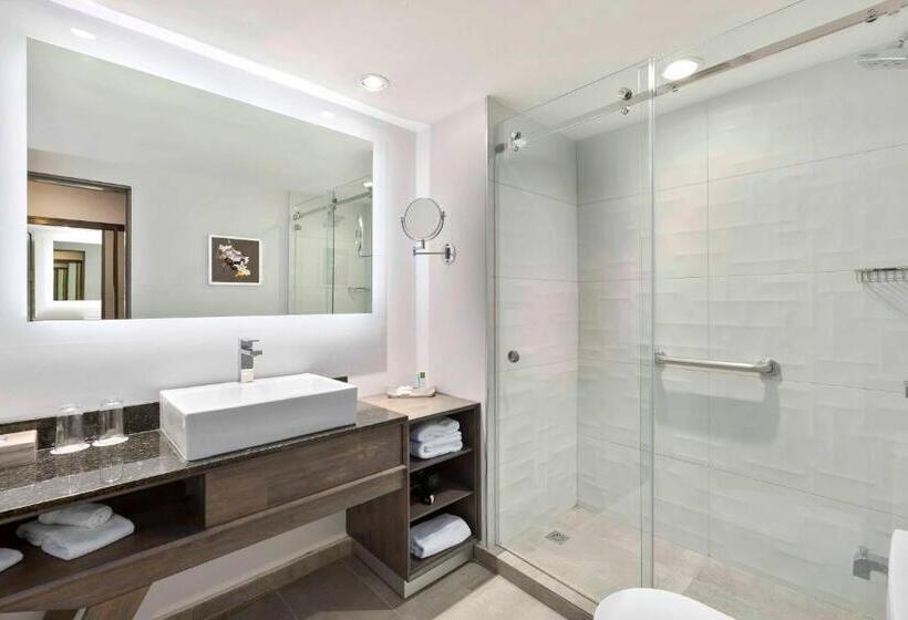 스탠다드 룸 킹사이즈 침대, Crowne Plaza San Jose La Sabana, An Ihg