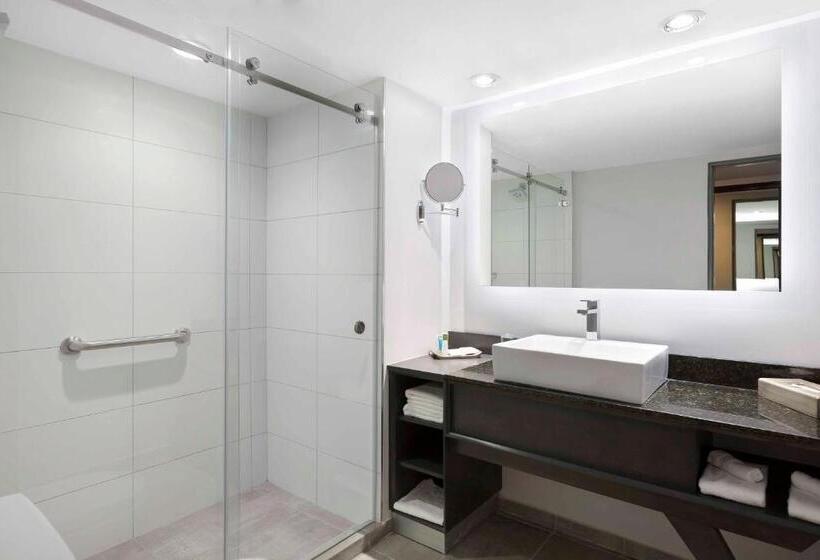 스탠다드 룸 더블 침대 2개, Crowne Plaza San Jose La Sabana, An Ihg