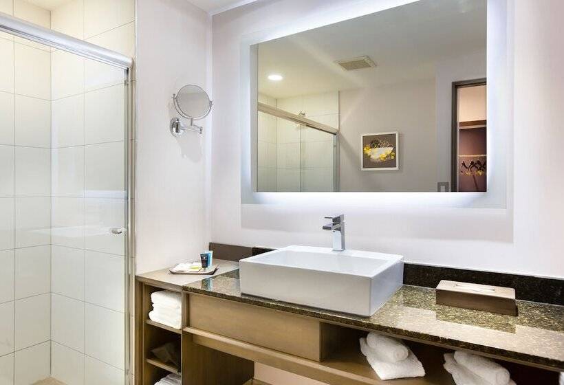 스탠다드 룸, Crowne Plaza San Jose La Sabana, An Ihg