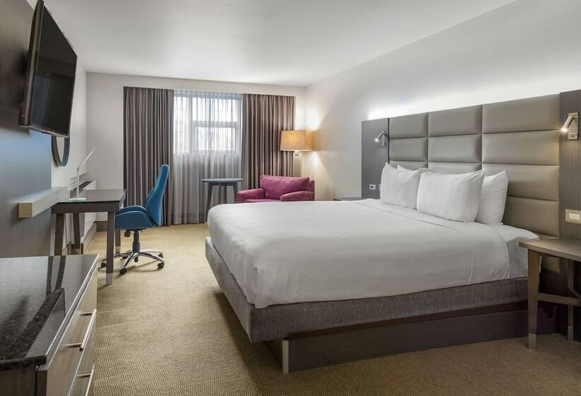 스탠다드 룸 더블 침대 2개, Crowne Plaza San Jose La Sabana, An Ihg