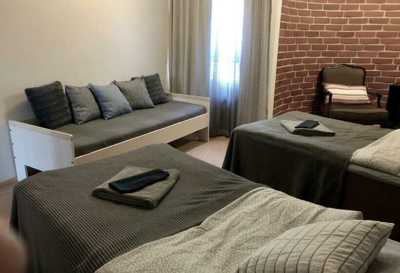 Номер Стандарт, & Hostel Silmu
