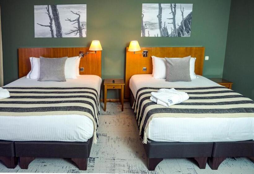 Номер Стандарт, Park Lake Luxury