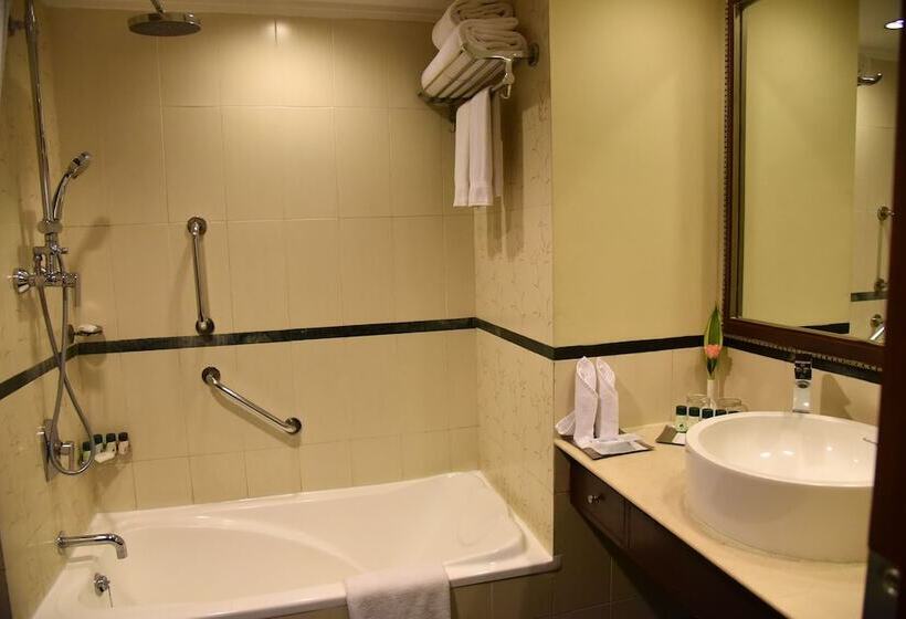 ビジネスルーム, Radisson Hotel Varanasi
