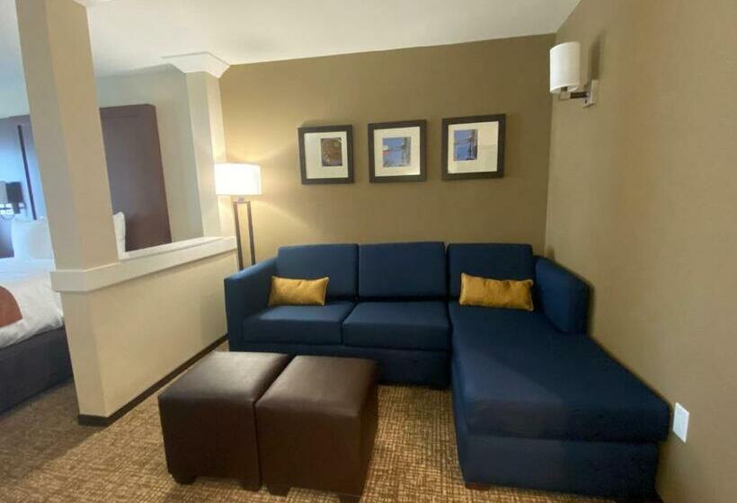 Номер Стандарт Адаптированный для Инвалидов, Comfort Suites Midland West