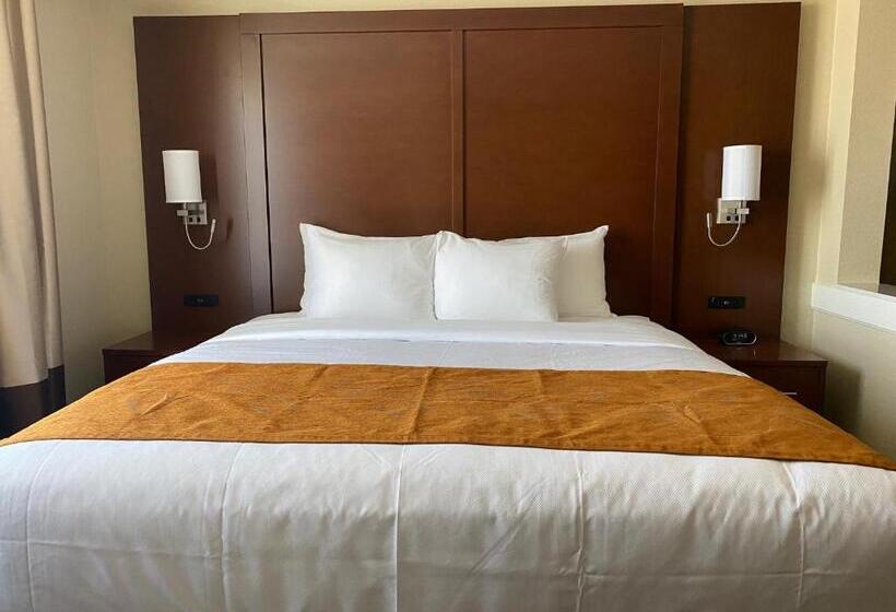Люкс Адаптированный для Инвалидов, Comfort Suites Midland West