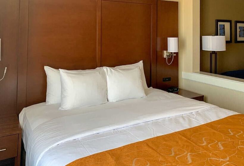 Люкс Адаптированный для Инвалидов, Comfort Suites Midland West