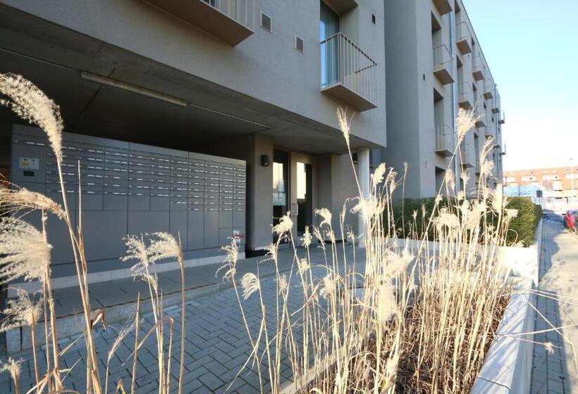 Апартаменты 1 Спальня, Campus Apartments
