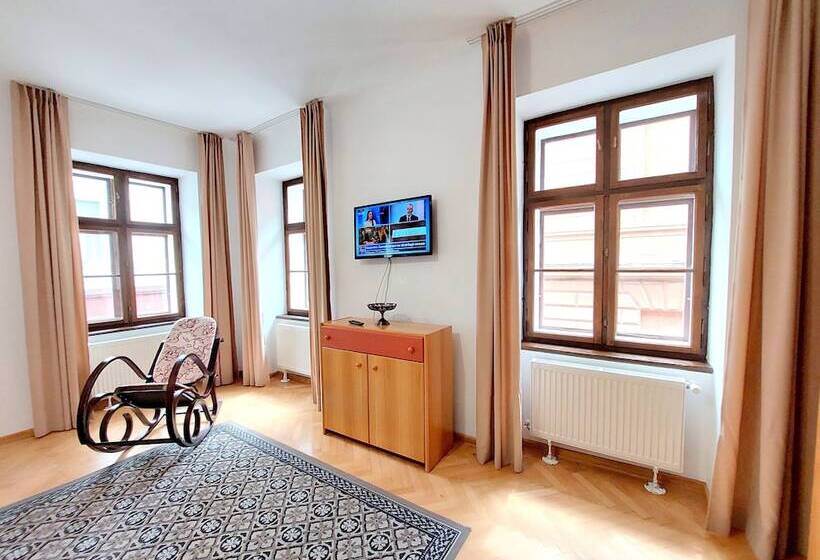 带1个卧室的豪华公寓, Casa Roth Apartments