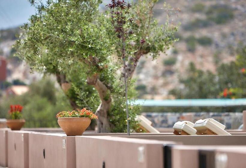 Апартаменты 1 Спальня, Marni Village