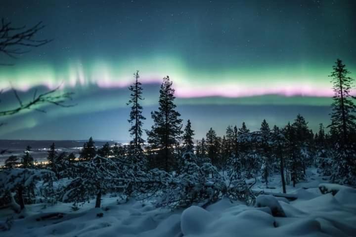 Номер Стандарт, Karemajat Panorama