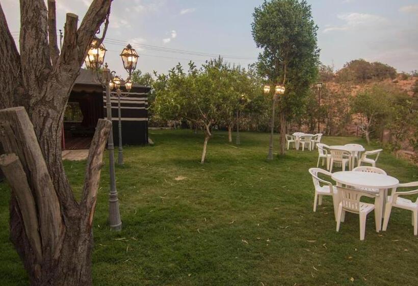 Номер Дюплекс, Seven Garden Alhada Suites