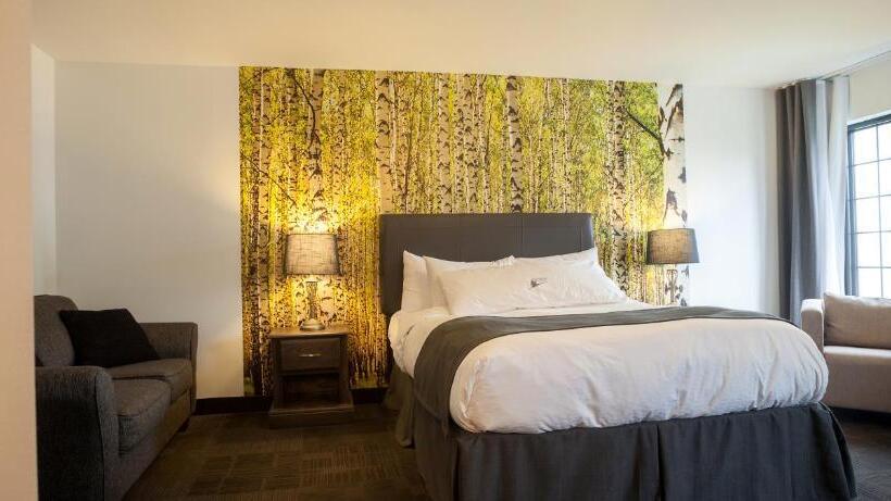 스탠다드 룸 퀸사이즈 침대, L Auberge Du Lac St Pierre