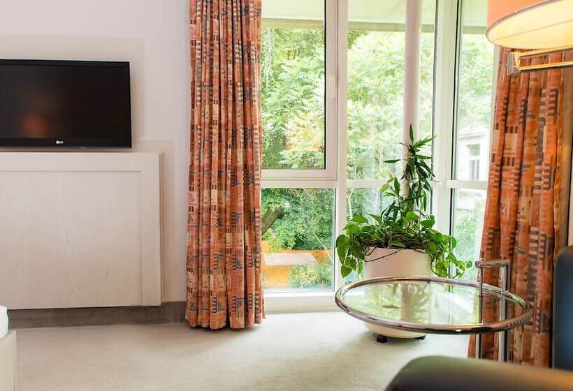 컴포트 싱글 룸, Fontana Hotel Wiesbaden