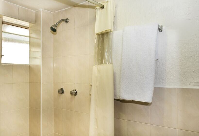 Номер Стандарт Трехместный, Capital O Hotel Central, Xalapa