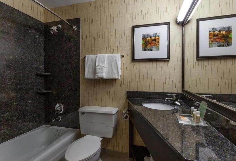 Номер Стандарт Адаптированный для Инвалидов, Holiday Inn Chicago North Evanston, An Ihg