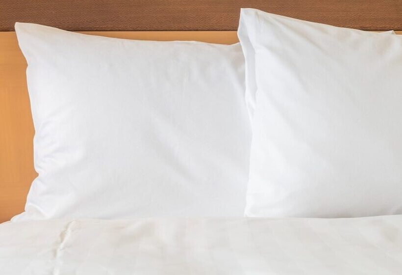 Номер Стандарт, Holiday Inn Chicago North Evanston, An Ihg