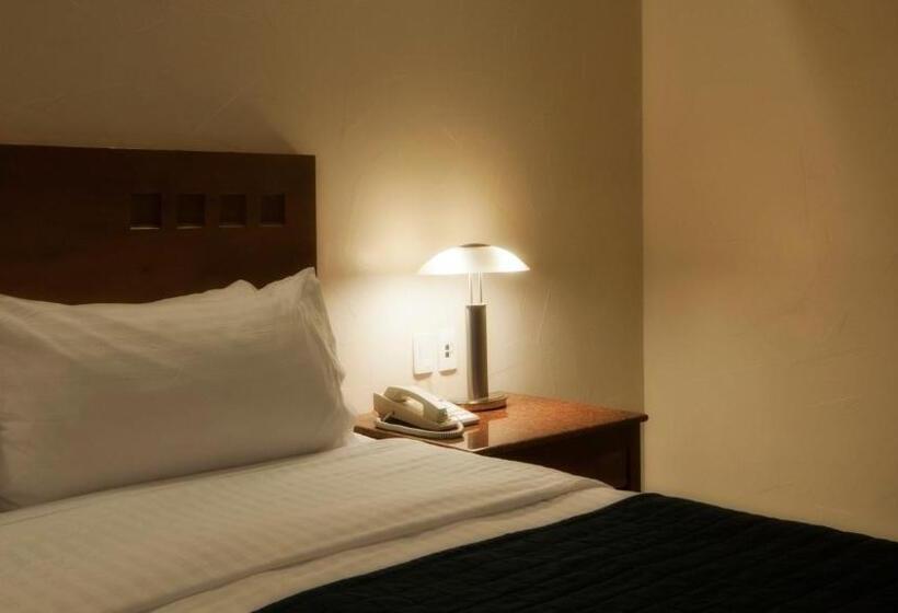 スタンダードルーム, Holiday Inn Veracruz Boca Del Rio, An Ihg